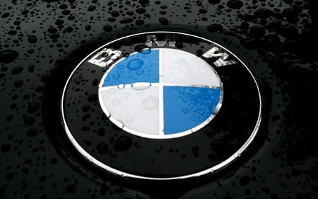 BMW logo - bmw, logo, patel, rain