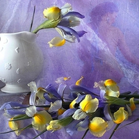 still life