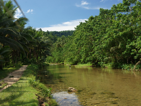 Jungle Nature - pathway, trees, jungle, man, river