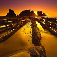A Golden Glow