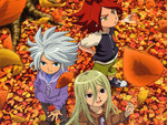 Inazuma eleven autumn