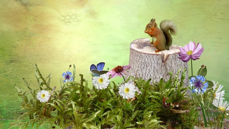 Squirrel on a Stump - squirrel, stump, summer, field, moss, tree, flowers, firefox persona