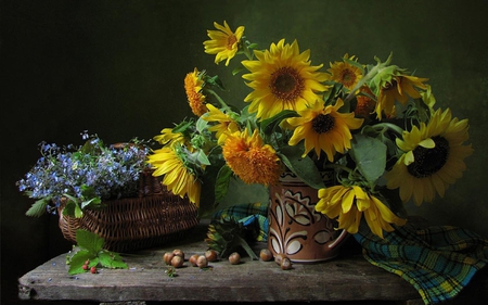 Still life - sunflower, sunflowers, basket, still life, vase, nature, yellow, pretty, beautiful, flowers, colors