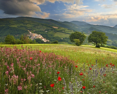 Spring Flowers Growing - sky, mountain, field, spring, nature, pink, blue, flowers, sunrise, grass