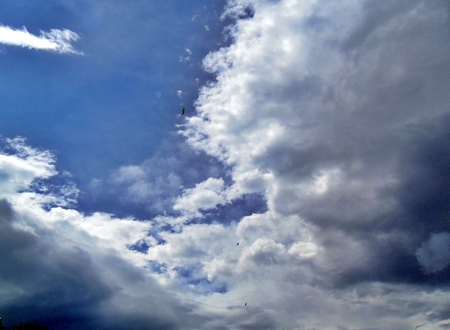 Beautiful sky - clouds, summer, blue, sky