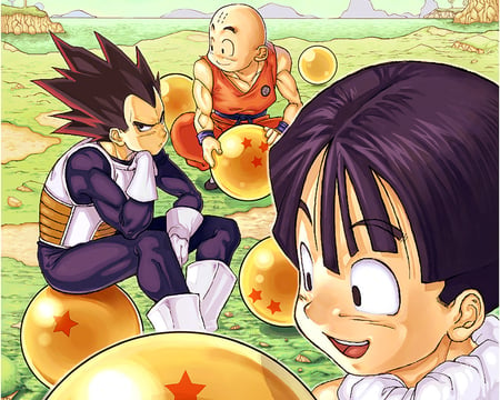 Z Fighters haning out - dragonball, anime, vegeta, z fighters