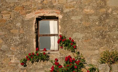 red roses - house