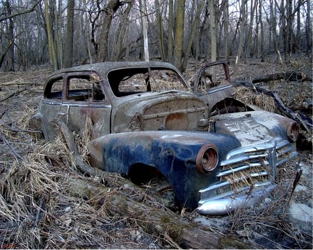 Old car 2 - nature, trees, woods, forest, cars, old, photograph