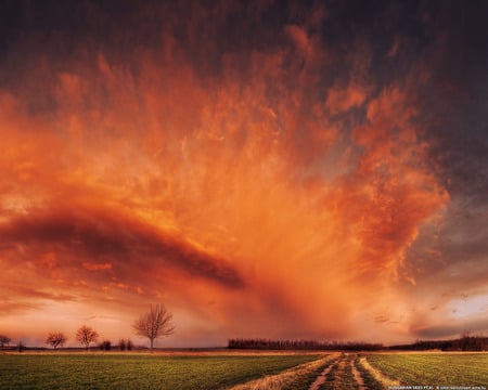 Hungarian skies  - sky