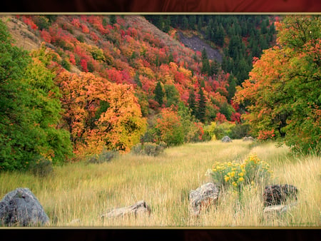 Logan Canyon Autumn - autumn, canyon