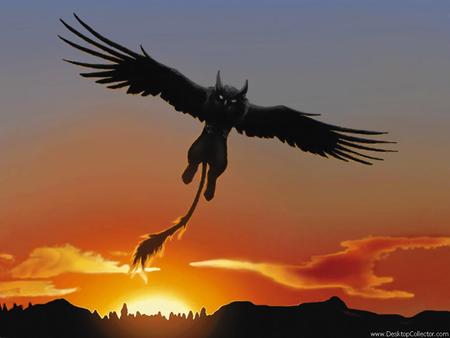 Griffin in Sunset - gryphon, griffin, flying, griffon, sunset, sun