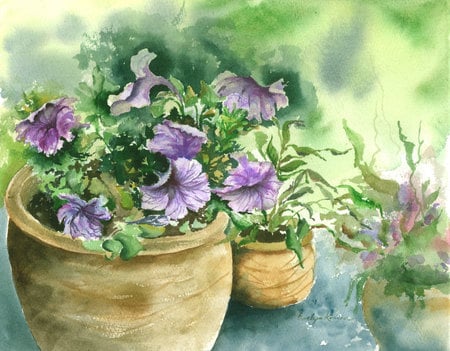 Potted Purple Petunias