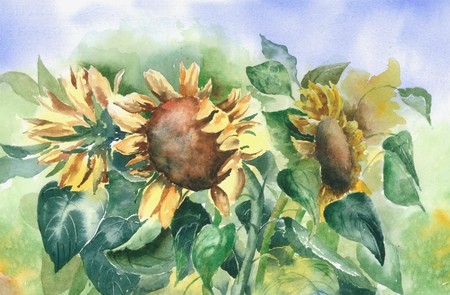 Sunflowers Waning - flowers, sunflowers, nature, sky, waning