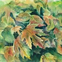 Autumn Leaves 