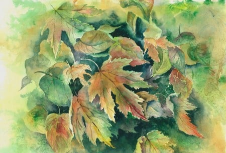 Autumn Leaves  - leaves, nature, seasons, autumn