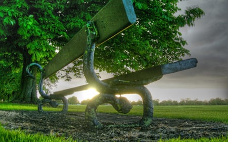 Garden Bench at Sunrice - bank, wds, ken, garden bench, valice