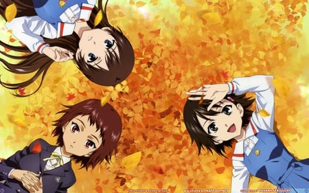 choix difficile - true, autumn, the, tears, anime, in