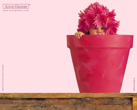 In the Flower Pot - flower, pot, pink, baby