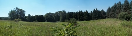 Hills of Hastings - camping, prarie, lonely, trees, woods, grasses, grass, outdoors