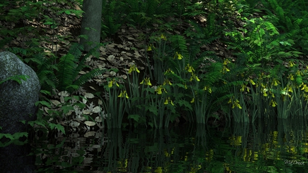 Pond in the Forestt - forest, pond, water, reflection, woods, trees, green