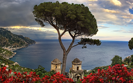 Sea view - sky, flower, tree, nature