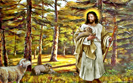 Jesus, the good shepherd - christ, jesus, shepherd, religion, christianity, god, lamb, tree, sheep