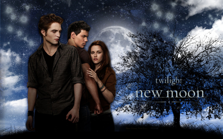 New Moon - moon, twilight, bella, jacob, movies, edward, new moon