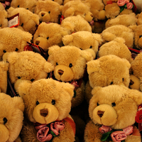 Sweet teddy bears for all in DN with warm hugs