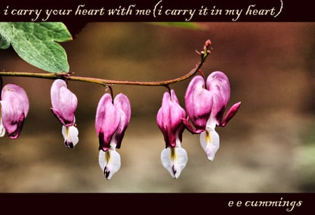 i carry your heart with me - hearts flowers, poem, branch, beautiful