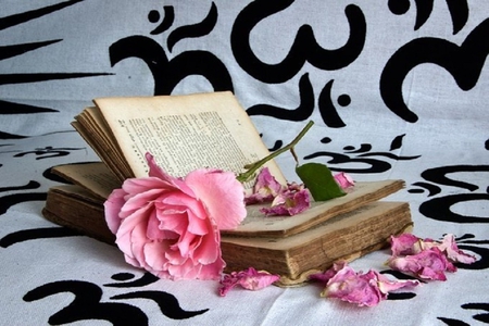 IN THE BOOK - book, old, rose, petals