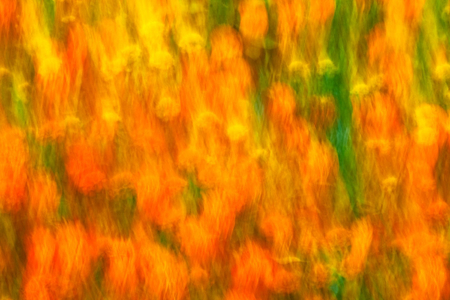 Flammability - abstract, colorful, orange, others