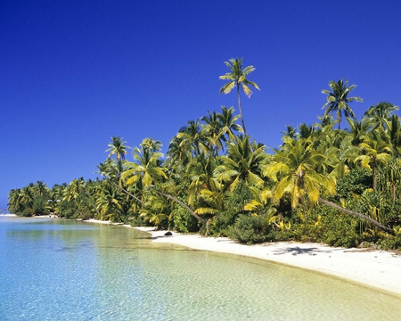 Coconut Grove Cook Islands - sand, sky, trees, water