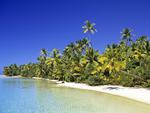 Coconut Grove Cook Islands