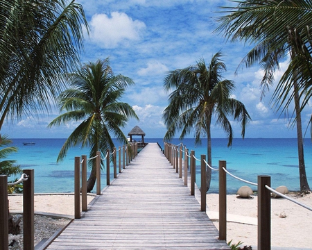 Polynesian Pier Tuamotu - trees, ocean, sand, pier