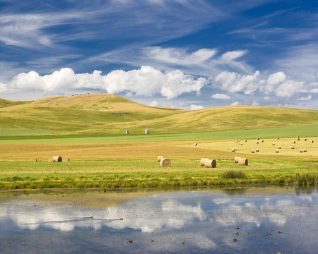 Longview Crowsnest Alberta - hills, sky, clouds, grass