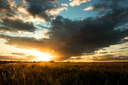 One_Sweet_World - nature, sky, landscape, clouds, sunset, colors, grass