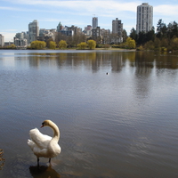 Lost Lagoon