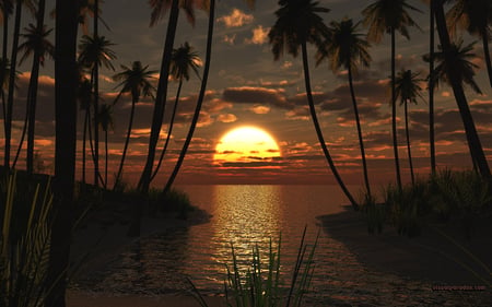 Getaway Sunset - nature, oceans, beaches, palm trees, sunset