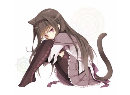 Akemi Homura - anime, neko, akemi homura, animal ears, girl, cool, tail, kawai, mahou shoujo madoka magica, cute