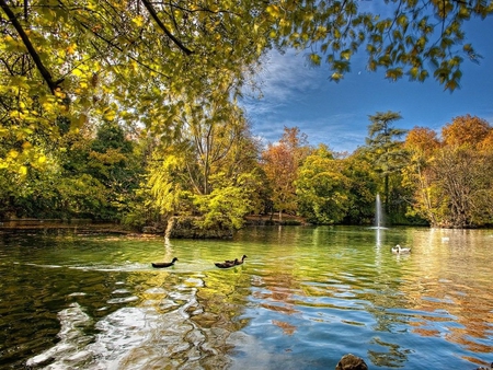 Lake - nature, lake, tree, field