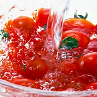 Red Tomatos In Water Bowl