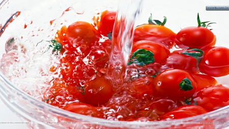 Red Tomatos In Water Bowl - water bowl, red tomatoes, refreshing, photography