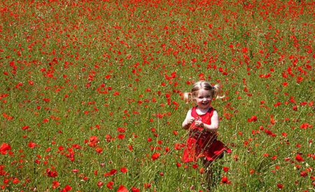 Zi de vara - poppies, summer, girl, vara, maci