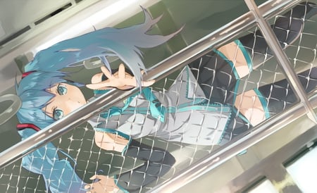 Hatsune Miku - aqua, hot, thighhighs, music, anime girl, stockings, white, art, cool, ligth, aqua eyes, artistic, hatsune miku, sexy, skirt, fence, song, vocaloids, program, glow, vocaloid, beautiful, uniform, diva, beauty, nice, twintail, singer, aqua hair, long socks, black, virtual, pretty, idol, anime, miku, cute, girl, school, cg, hatsune, tie, city, awesome, digital, gray, outfit