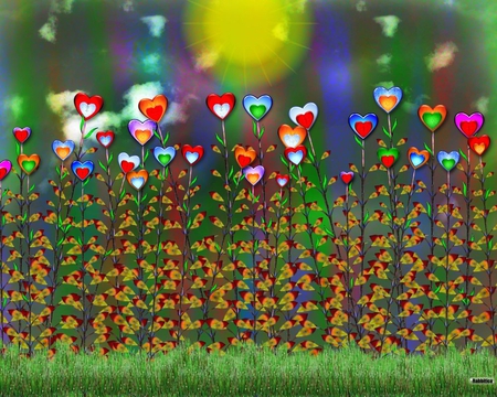 heart field - field, hearts, abstract, colorful