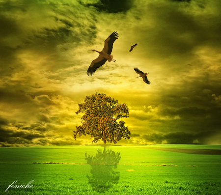 The Tree and the 3 Storks - sky, field, image, tree, nature, storks