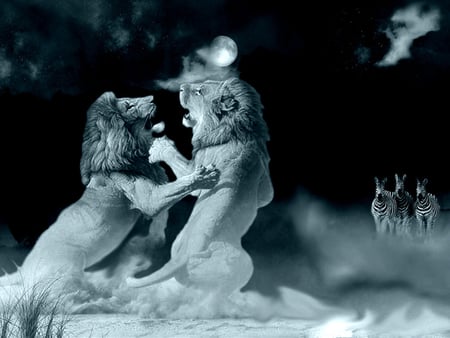 cats fight - fights, pale, lion, cats, animals, night