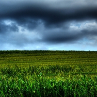 Grey Sky