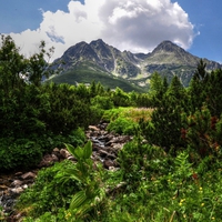 Superb View of Mountain