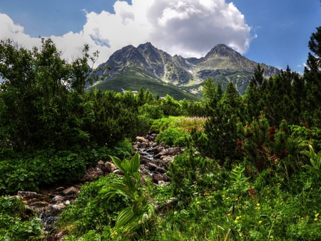 Superb View of Mountain - sky, mountain, superb, nature, view, scenecry, river, beautiful, clouds, tree, stones, grass